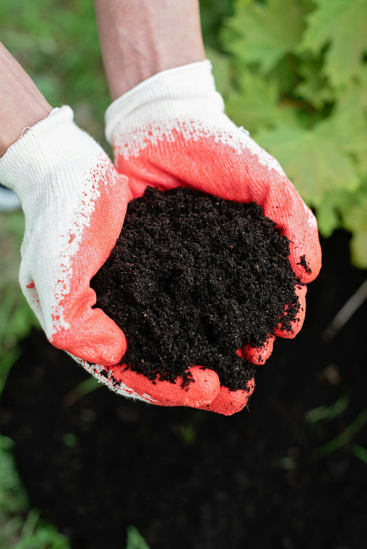 Terreau de plantation vs Terre jardin : quelle est la différence et lequel choisir ?