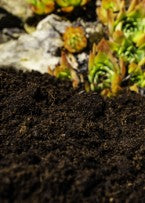 Terre et compost | Vrac116